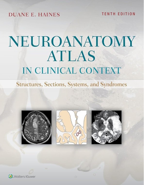 Neuroanatomy Atlas in Clinical Context PDF Free Download