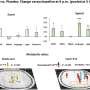 Creatine found to improve cognitive performance during sleep deprivation