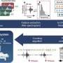 New algorithm could provide early warning for asthma attacks