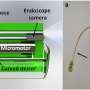 Researchers develop gastrointestinal imaging capsule for esophagus surveillance and interventions