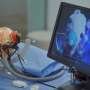 Research team develops MRI-guided multi-stage robotic positioner for precise stereotactic neurosurgery