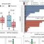 Study examines metabolic reprogramming of breast cancer tumors during neoadjuvant chemotherapy