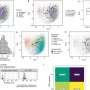 Computational tool integrates transcriptomic data to enhance breast cancer diagnosis and treatment