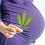 Marijuana use while pregnant could raise odds for complications