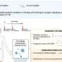 Novel liquid biopsy methodology enables monitoring of disease evolution in patients with metastatic prostate cancer