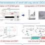 New prognostic biomarker identified in small cell lung cancer