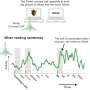 How pronouns are processed in the memory-region of the human brain