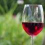 Drinking a moderate amount of wine may lower the risk of serious cardiovascular disease in high-risk people